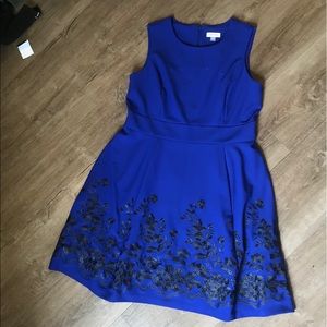 Calvin Klein Blue A-Line w/ Black Floral Dress